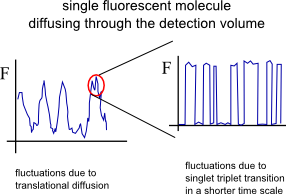singlet-triplet-fluctuations.png