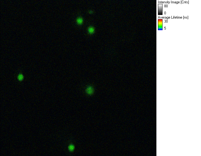 100210_05_region_10mhz.png