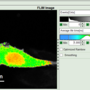flim-fret-1expd_roi_from_thresh_2_v3.png