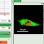 flim-fret_calculation_for_single_exponential_donors_image_12.png