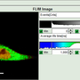 flim-fret_calculation_for_single_exponential_donors_image_8.png