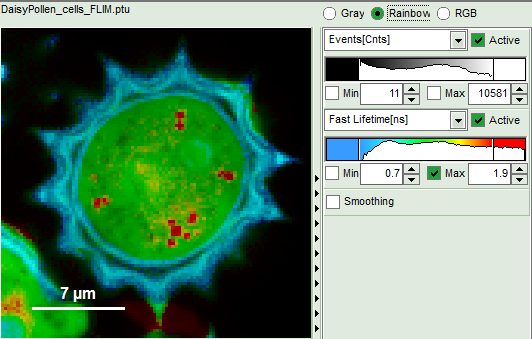 rainbowscale-image.png