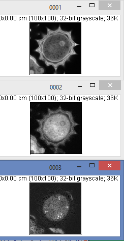 rgb-tiff_inimagej.png