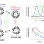 solvation_dynamics.png